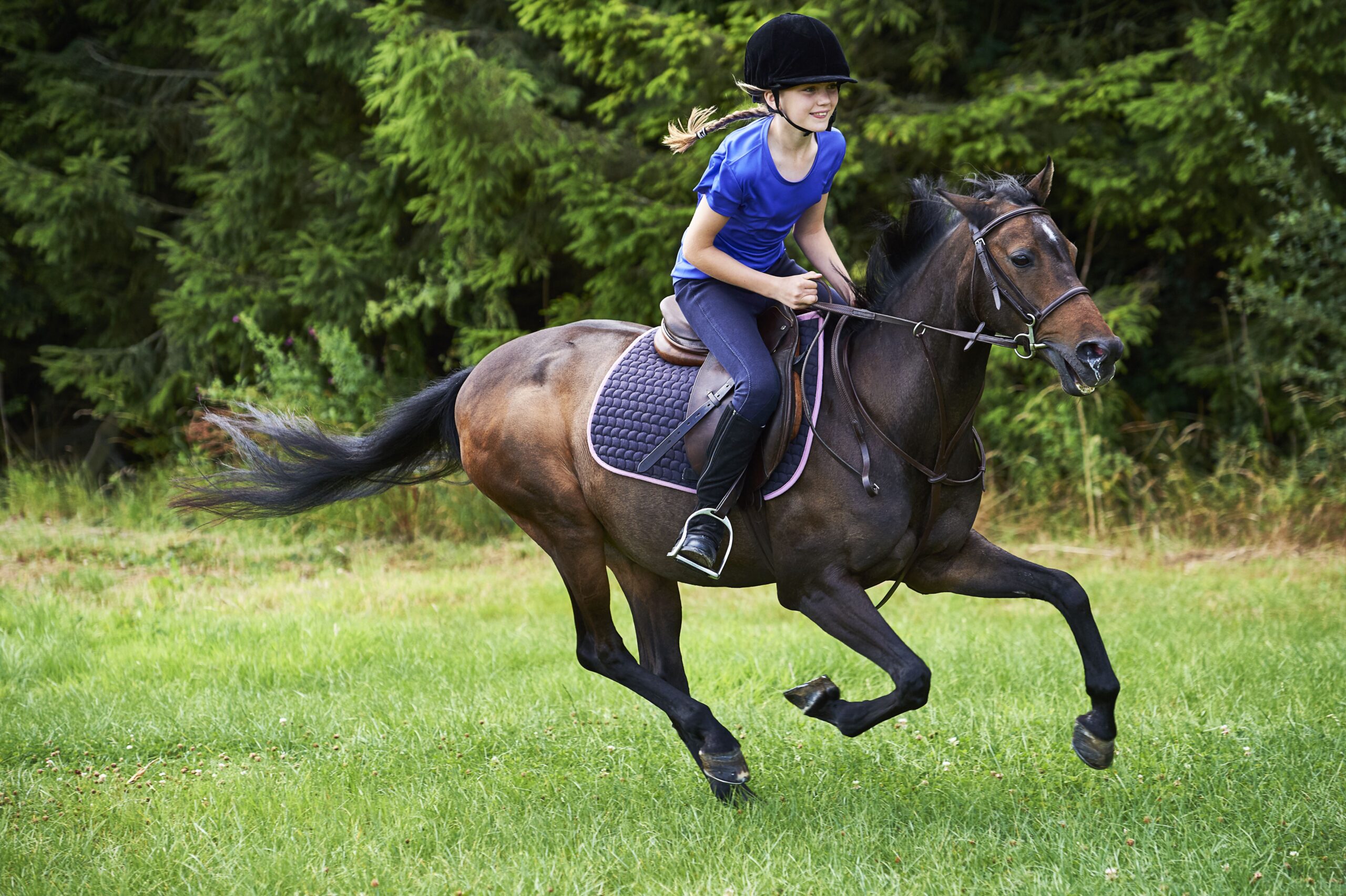 Strategies to Journey a Horse Safely