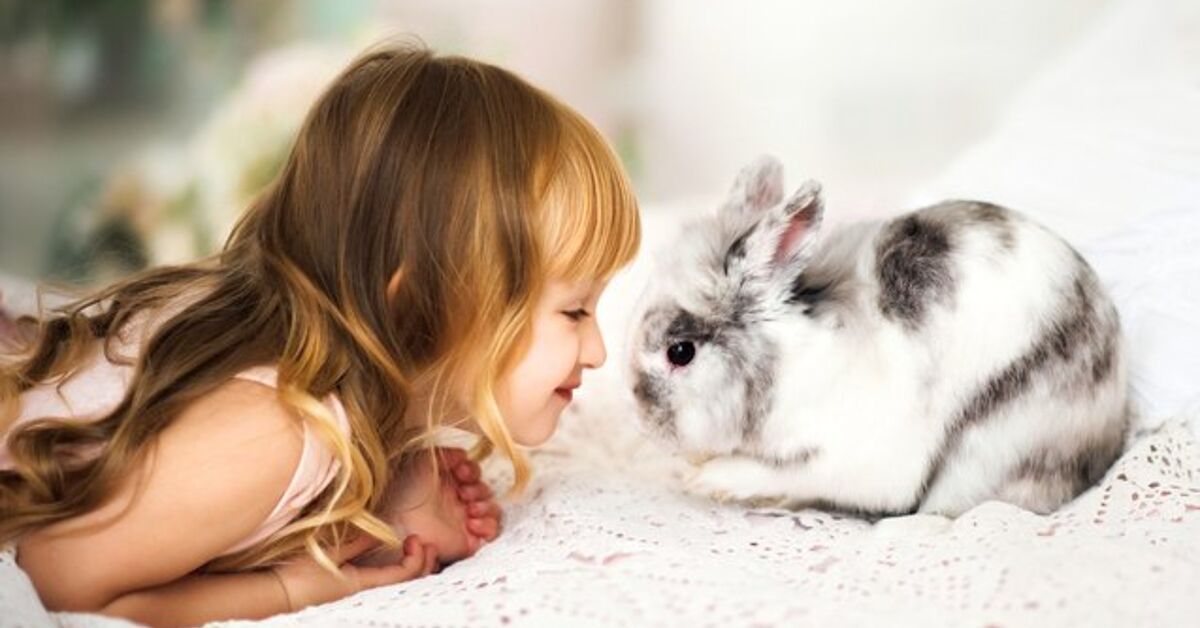 10 Best Rabbits for Youngsters